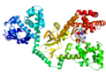 Lethal Factor structure.