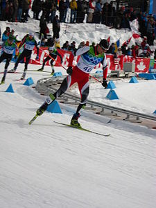 2010 Winter Olympics Felix Gottwald in nordic combined LH10km.jpg