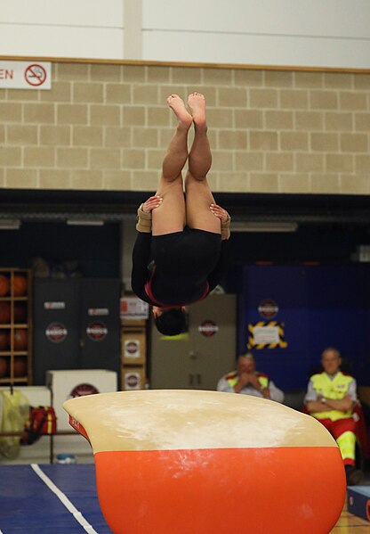 File:2022-10-30 Wase Gymcup WAG Juniors and Seniors apparatus finals warm-up Vault (Martin Rulsch) 07.jpg