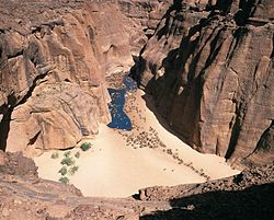 24 Kamele ziehen zur Wasserstelle im Ennedi-Gebirge im Tschad.jpg