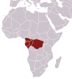 Distribución del linsang africano