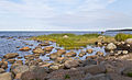 Altja, Parque Nacional Lahemaa, Estonia, 2012-08-12, DD 03.JPG