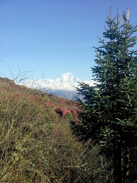 File:Amazing Mt. Dhaulagiri.jpg