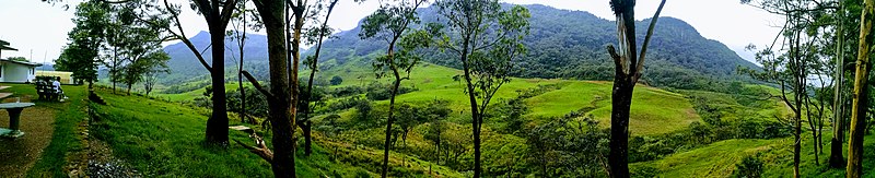 File:Ambewela farm, Sri Lanka.jpg