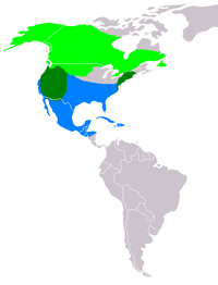 Mapa de localización de Anas crecca carolinensis. Verde claro (área de incubación). Azul (área de invernada). Verde escuro (área de ocupación sedentaria).