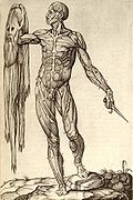 ภาพวาดทางกายวิภาคในปี ค.ศ. 1559 โดย Juan Valverde de Amusco ในรูปเป็นคนที่มือหนึ่งถือมีดและอีกมือหนึ่งถือผิวหนังของตัวเอง