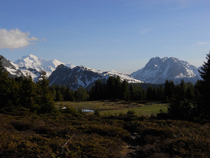 File:Arpille's sight toward "Mt Blanc" - panoramio.jpg