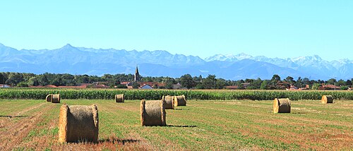 Rideau métallique Aurensan (65390)