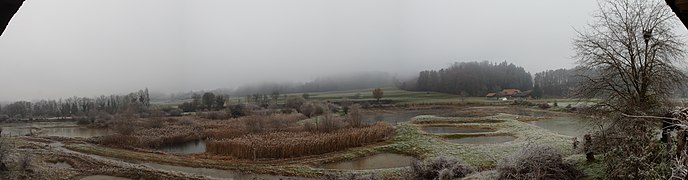 Zahlreiche Kleingewässer, Schilfgürtel, Hecken und Wiesen