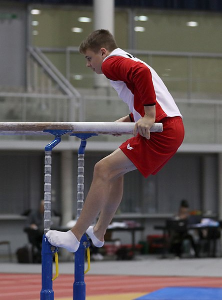 File:Austrian Future Cup 2018-11-23 Training Afternoon Parallel bars (Martin Rulsch) 0012.jpg