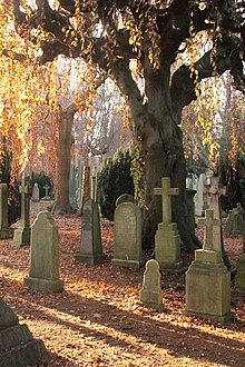 Autumn in Dean Cemetery, Edinburgh Autumn in Dean Cemetery, Edinburgh.jpg