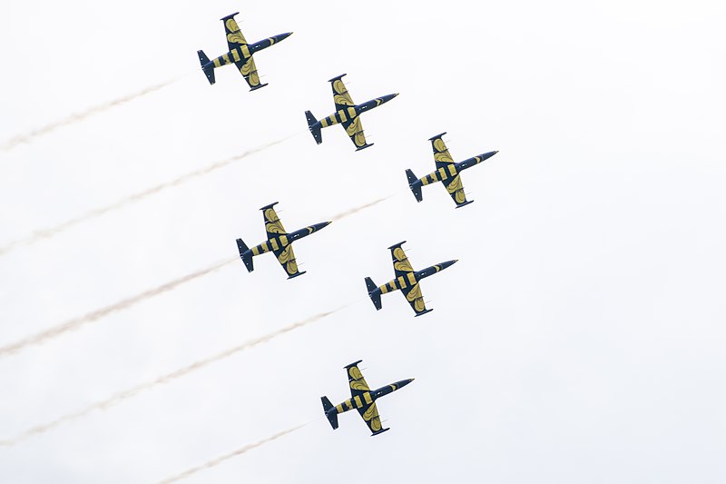 File:BALTIC BEES JET TEAM, Aero L-39 Albatros (42021624014).jpg