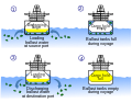 رسم تخطيطي يوضح تلوث مياه البحار من تصريف مياه الصابورة غير المعالجة. مقطع عرضي لمخطط السفينة مع الإشارة إلى إطلاقات تلوث الحطام البحري.