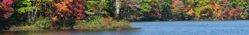 File:Bannernewhampshire.jpg