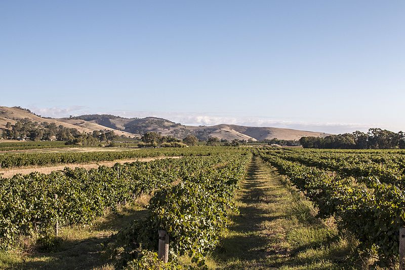 File:Barossa Valley 10.jpg