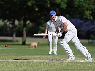 <span class="mw-page-title-main">Beau Webster</span> Australian cricketer