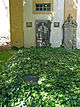 Burial place of Lucas Cranach the Elder  in Weimar.jpg