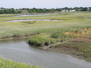 Belle Isle Marsh Reservation