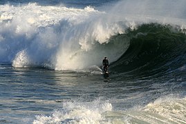 Surfer in Santa Cruz, California