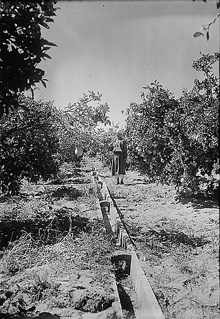 <span class="mw-page-title-main">Bir Salim</span> Village in Ramle, Mandatory Palestine