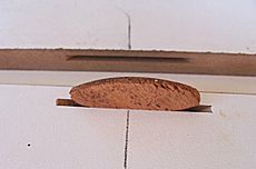 Biscuit-joint.jpg
