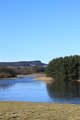 Blairadam Forest from Lochore Meadows - geograph.org.uk - 1733849