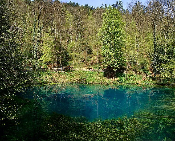 File:BlautopfWald.jpg