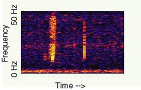A spectrogram of Bloop