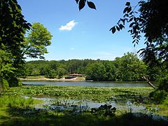 Public beach area viewed from across Cutler Lake