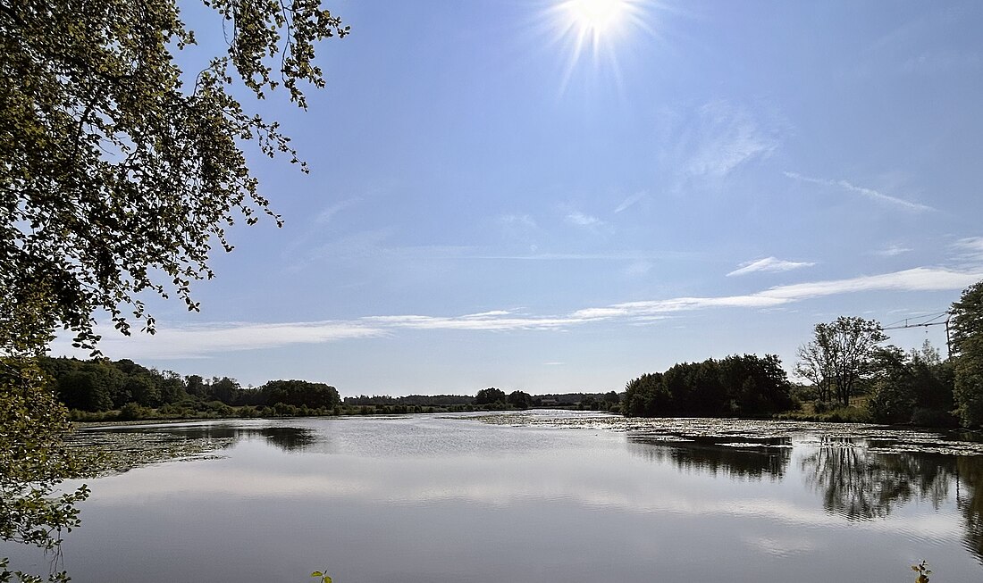 Bommer Weiher