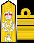 Lakaran kecil untuk Laksamana Armada (Royal Navy)