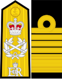 דרגת אדמירל הצי כפי שהיא מוצגת על השרוול (ימין) ובכותפת (שמאל)