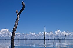 Brokopondo-Lago Suriname.jpg