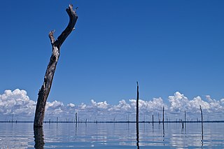 <span class="mw-page-title-main">Brokopondo Reservoir</span> Body of water