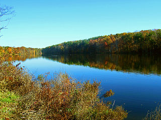 <span class="mw-page-title-main">Browns Pond</span> Reservoir in Orange County, New York