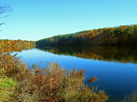 Browns Pond