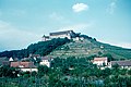 Burg Stettenfels 1960