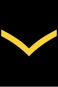 CDN-Navy-AB.svg