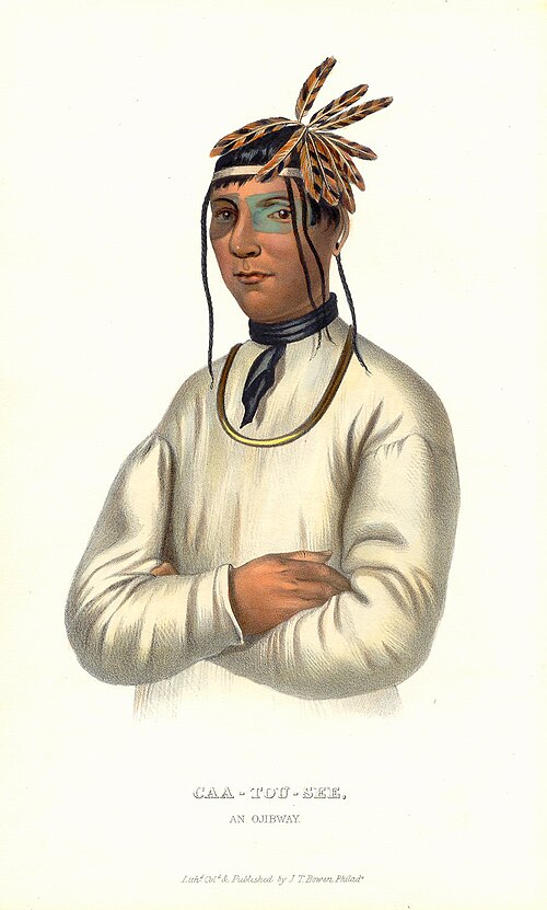 Caa-tou-see, An Ojibwe chief