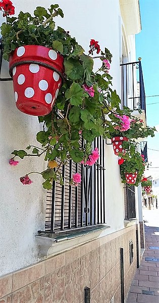 File:Calle jesus y maria pots - Estepona Garden of the Costa del Sol.jpg