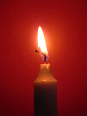 A candle's flame Candle-light-animated.gif