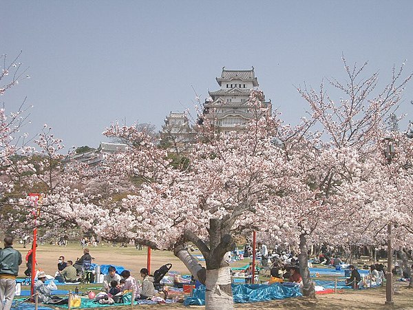 Hanami picnics in front of Himeji Castle, 2005