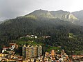 Vignette pour Cerro de Guadalupe