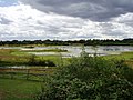 Chase Nature Reserve, London Borough of Barking & Dagenham, RM7 (2682552177) .jpg