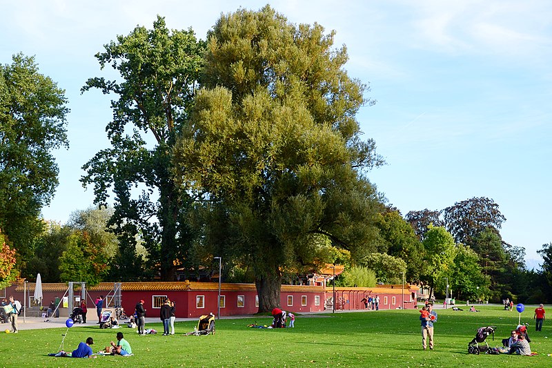 File:Chinagarten Zürich - Blatterwiese - Centre Le Corbusier 2013-09-21 17-49-48.JPG