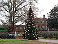 Christmas tree and fountain on GA96