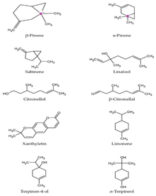 Structure moléculaire des principaux composés phytochimiques de C. hystrix[76]