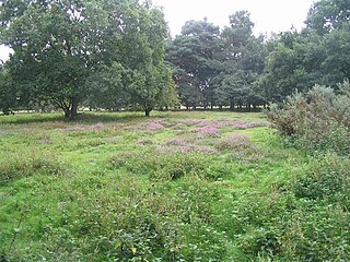 <span class="mw-page-title-main">Kirkby Moor, Lincolnshire</span> Human settlement in England