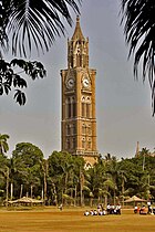 A clock tower amid trees and a playground