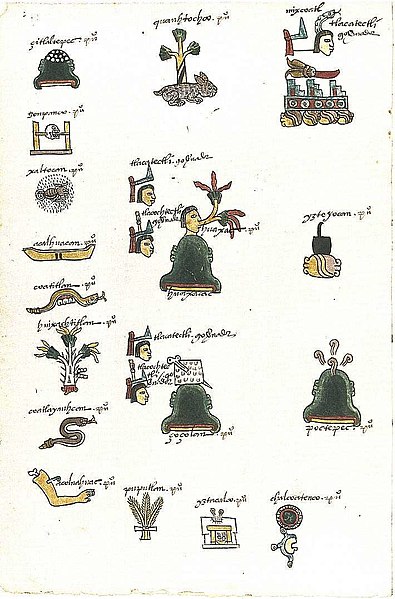 File:Codex Mendoza folio 17v.jpg